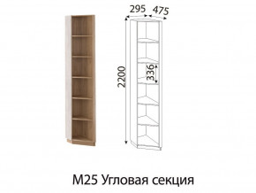 М25 Угловая секция в Верхнем Уфалее - verhnij-ufalej.magazin-mebel74.ru | фото