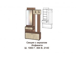 Секция с зеркалом в Верхнем Уфалее - verhnij-ufalej.magazin-mebel74.ru | фото