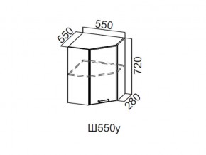 Ш550у/720 Шкаф навесной 550/720 (угловой) в Верхнем Уфалее - verhnij-ufalej.magazin-mebel74.ru | фото