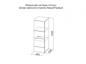 Шкаф навесной (глухой) Левый в Верхнем Уфалее - verhnij-ufalej.magazin-mebel74.ru | фото