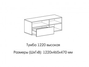 Тумба 1220 (высокая) в Верхнем Уфалее - verhnij-ufalej.magazin-mebel74.ru | фото